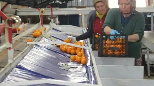 Akgün 'Üretim olmazsa olmazımız' 