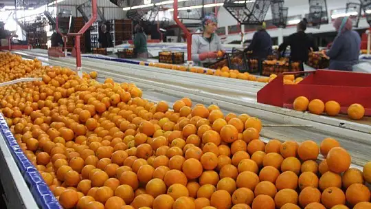 Akgün 'Üretim olmazsa olmazımız' 