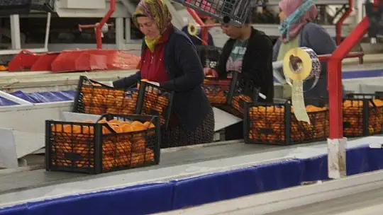 Akgün 'Üretim olmazsa olmazımız' 