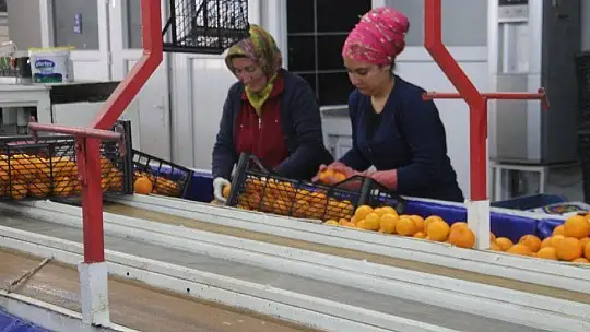 Akgün 'Üretim olmazsa olmazımız' 