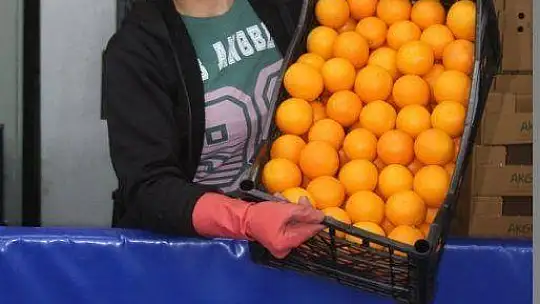 Akgün 'Üretim olmazsa olmazımız' 