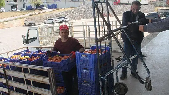 2 Bin 500 Tırlık Sevkiyat