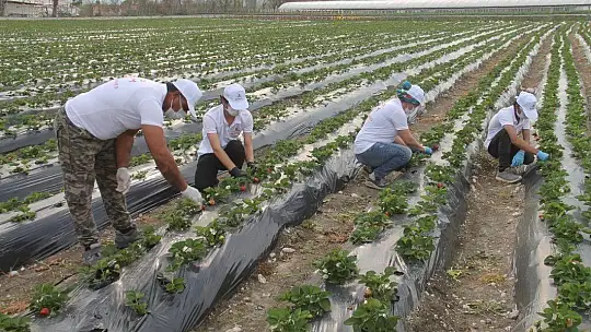 Yaylada Yeri Olan Çiftçilere Kolaylık