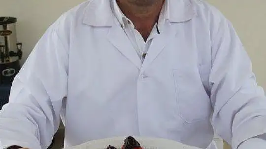 Vali Hanım Çileği 20 Milyon TL Girdi Sağlayacak