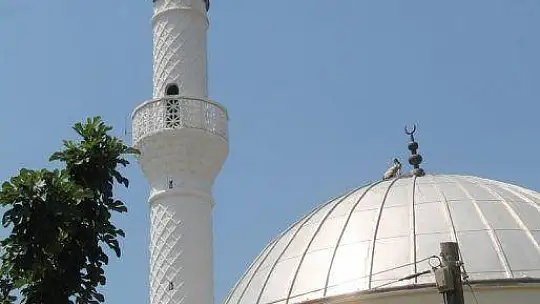 10 yıldır aynı camiye yuva yapıyorlar