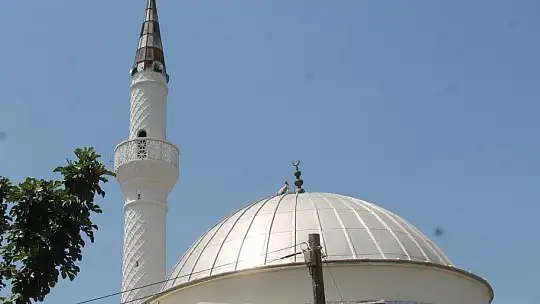 10 yıldır aynı camiye yuva yapıyorlar