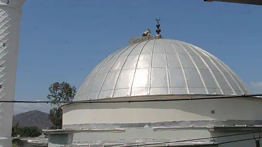 10 yıldır aynı camiye yuva yapıyorlar