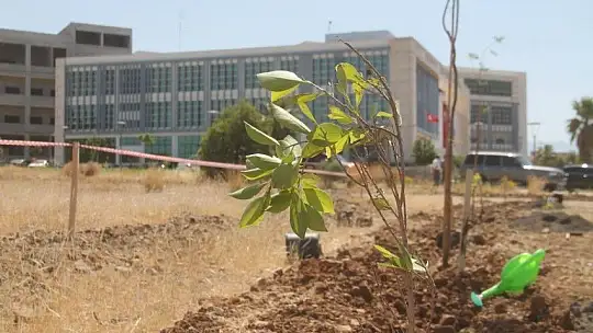 Fethiye İşletme Fakültesi'nin çehresi güzelleşiyor