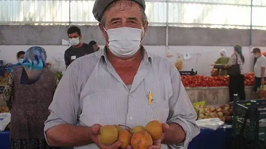 Pazarın Şampiyonu Yayla Börülcesi 