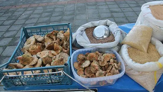 Paketleme tesisi kurmak için çalışmalara başladılar