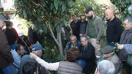 Teorik bilgileri pratiğe dönüştürdüler