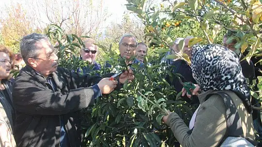 Teorik bilgileri pratiğe dönüştürdüler
