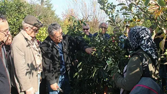 Teorik bilgileri pratiğe dönüştürdüler