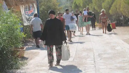 Koruma altında bulunan kum zambakları açtı