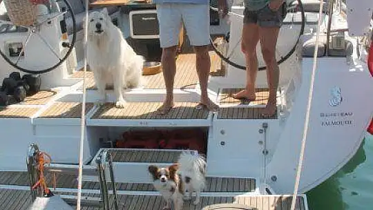 Yabancı Uyruklu Vatandaşlar, Tedbirleri Olumlu Karşılıyor