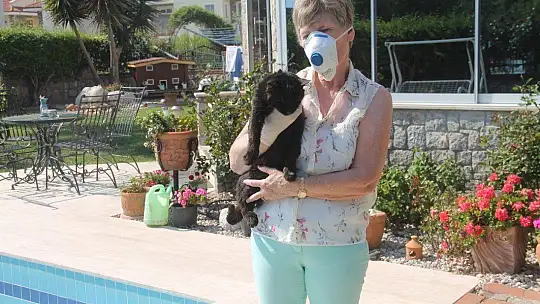 Yabancı Uyruklu Vatandaşlar, Tedbirleri Olumlu Karşılıyor