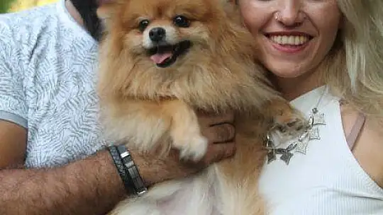 Fethiye'de köpek defilesi yapıldı