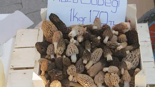 Yasak, Vatandaşları Pazara Döktü