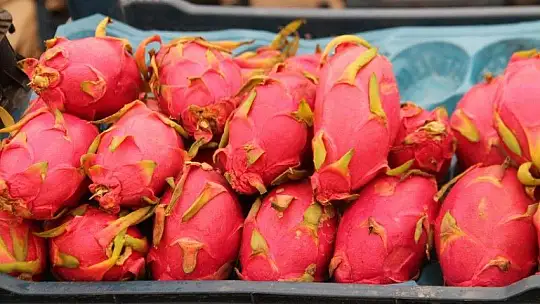 Pazarda rekor bamyada