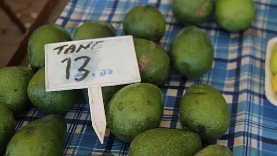 Pazarda rekor bamyada