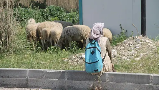 Fethiye ve Seydikemer'de Çiftçiler Üretip Satabildi