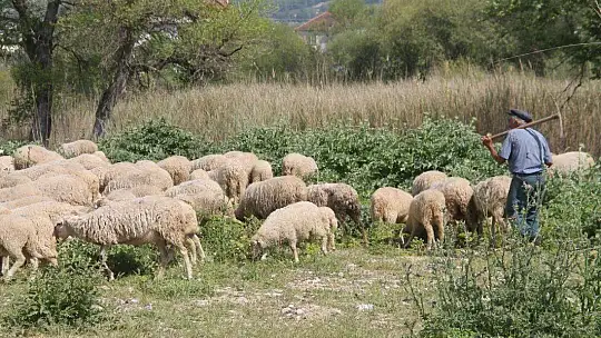 Fethiye ve Seydikemer'de Çiftçiler Üretip Satabildi
