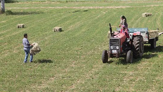 Fethiye ve Seydikemer'de Çiftçiler Üretip Satabildi