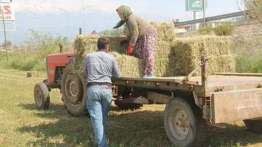 Fethiye ve Seydikemer'de Çiftçiler Üretip Satabildi