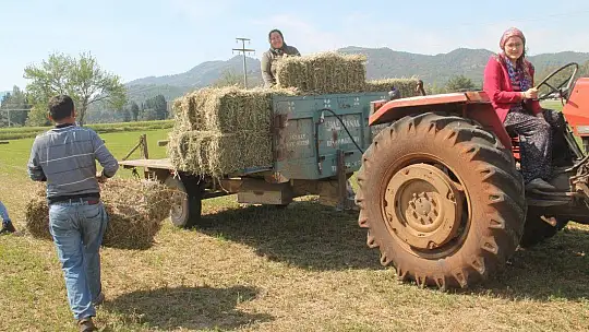Fethiye ve Seydikemer'de Çiftçiler Üretip Satabildi