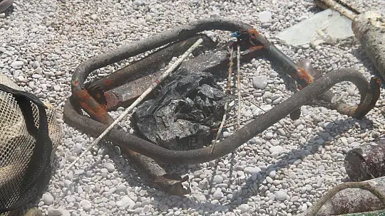 Ölüdeniz'e Mavi Yakışır