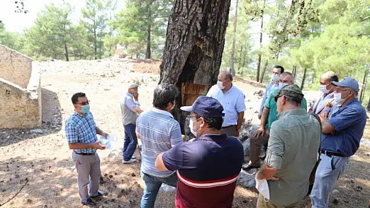 YÖRÜKLERİN YÜZLERCE YILLIK GÖÇ YOLLARI TESCİLLENİYOR
