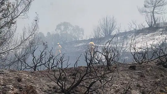 İtfaiye kısa sürede müdahale etti