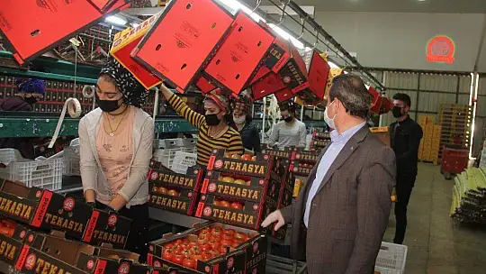 Başkan Öztürk üreticilerin ve komisyoncuların nabzını tuttu 