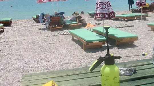 Ölüdeniz Plajlarında Pandemi Önlemi