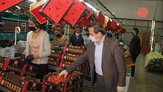 Başkan Öztürk üreticilerin ve komisyoncuların nabzını tuttu 