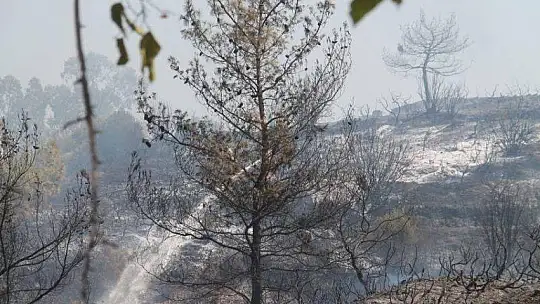 İtfaiye kısa sürede müdahale etti