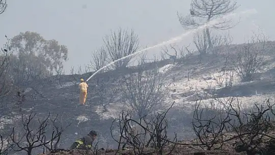 İtfaiye kısa sürede müdahale etti