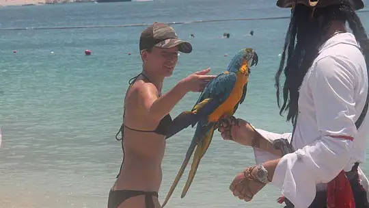 MAHMUT, ÖLÜDENİZ PLAJI'NIN MASKOTU OLDU