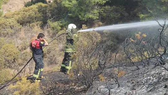 İtfaiye kısa sürede müdahale etti