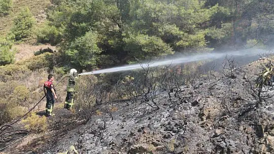 İtfaiye kısa sürede müdahale etti