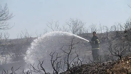 İtfaiye kısa sürede müdahale etti