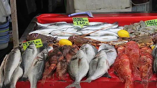 Balık fiyatları cep yakıyor