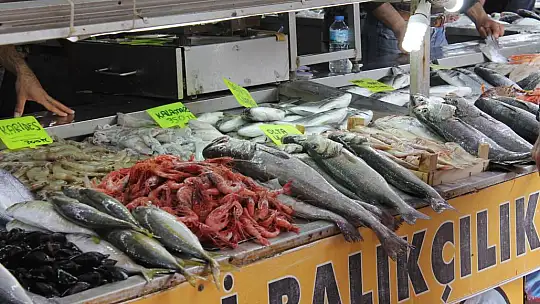 Balık fiyatları cep yakıyor