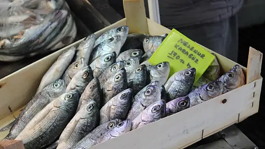 Balık fiyatları cep yakıyor