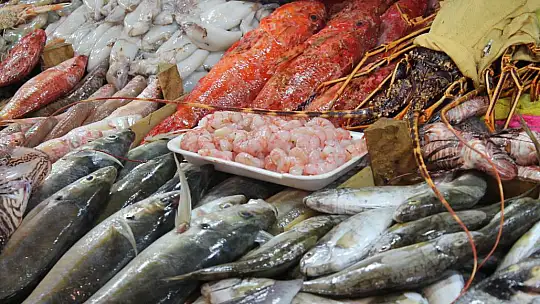 Balık fiyatları cep yakıyor