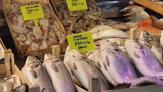 Balık fiyatları cep yakıyor