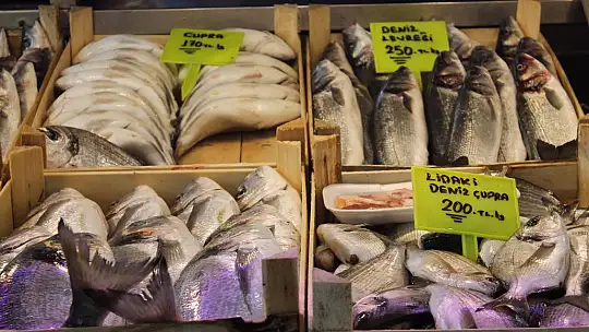 Balık fiyatları cep yakıyor