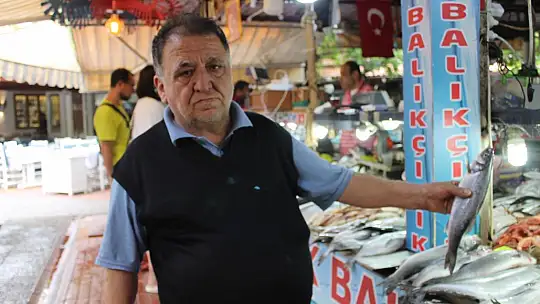 Balık fiyatları cep yakıyor