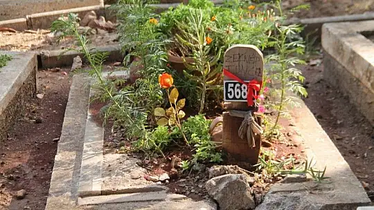 Türk Kadınlar Birliğinden kabir ziyaretleri