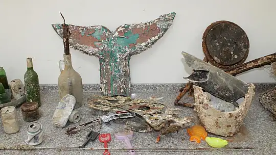 Tuı Junior Academy Turkey Projesi Tanıtıldı 